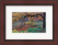 Framed Fall Retreat