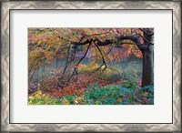 Framed Fall Retreat