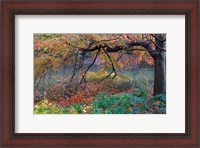 Framed Fall Retreat