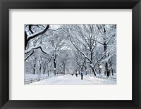 Framed White Wonder