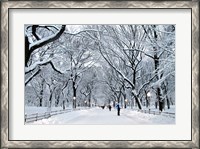 Framed White Wonder