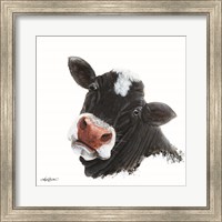 Framed Sappy Face Cow