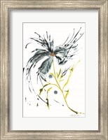 Framed Blue Lily Splash