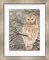 Framed Snowy Owl