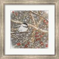 Framed Snowberry Bird I