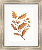 Framed Fall Leaf Stem I
