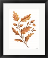 Fall Leaf Stem I Framed Print