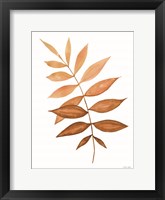 Fall Leaf Stem II Framed Print