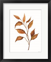 Fall Leaf Stem IV Framed Print