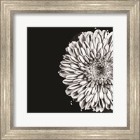 Framed Black and White Love II