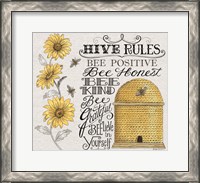 Framed Hive Rules