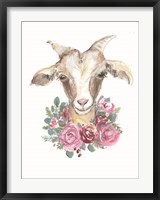 Framed Rosie the Goat