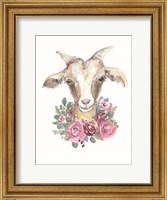 Framed Rosie the Goat