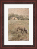 Framed Front Pasture