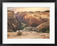 Framed Zion Desert Life