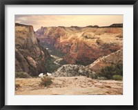 Framed Zion Desert Life