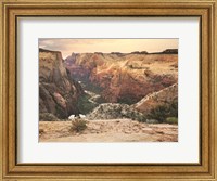 Framed Zion Desert Life