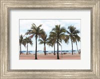 Framed Florida Palms