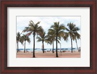 Framed Florida Palms