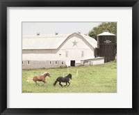 Framed Afternoon Run on the Farm