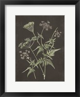 Framed Chives