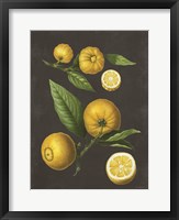 Framed Lemon Citrus