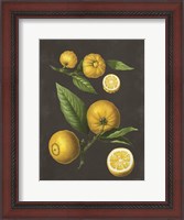 Framed Lemon Citrus