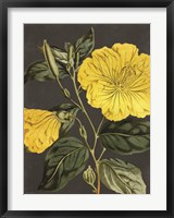 Framed Yellow Vine