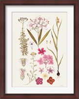 Framed Vintage Bloom Study