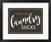 Framed Laundry Sucks