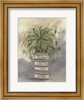 Framed Spider Plant in Pottery