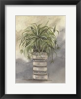 Spider Plant in Pottery Framed Print
