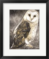 Framed Snowy Owl 2