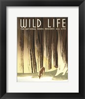 Framed Wild Life