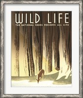 Framed Wild Life