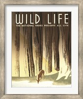 Framed Wild Life