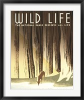 Framed Wild Life