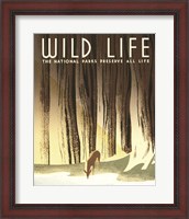 Framed Wild Life