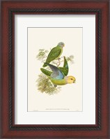 Framed Lime & Cerulean Parrots I