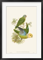 Framed Lime & Cerulean Parrots I