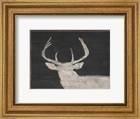 Framed Brow Tine Deer I