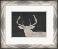 Framed Brow Tine Deer I