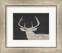 Framed Brow Tine Deer I