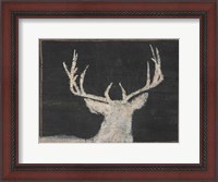 Framed Brow Tine Deer II