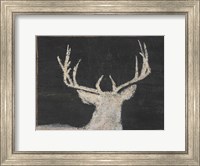 Framed Brow Tine Deer II