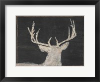 Brow Tine Deer II Framed Print