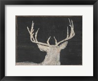 Framed Brow Tine Deer II