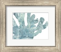 Framed Blue Macro Coral I