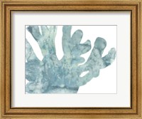 Framed Blue Macro Coral I