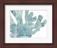 Framed Blue Macro Coral I